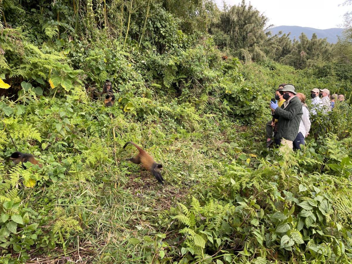 Virunga Homes Ruhengeri Eksteriør bilde