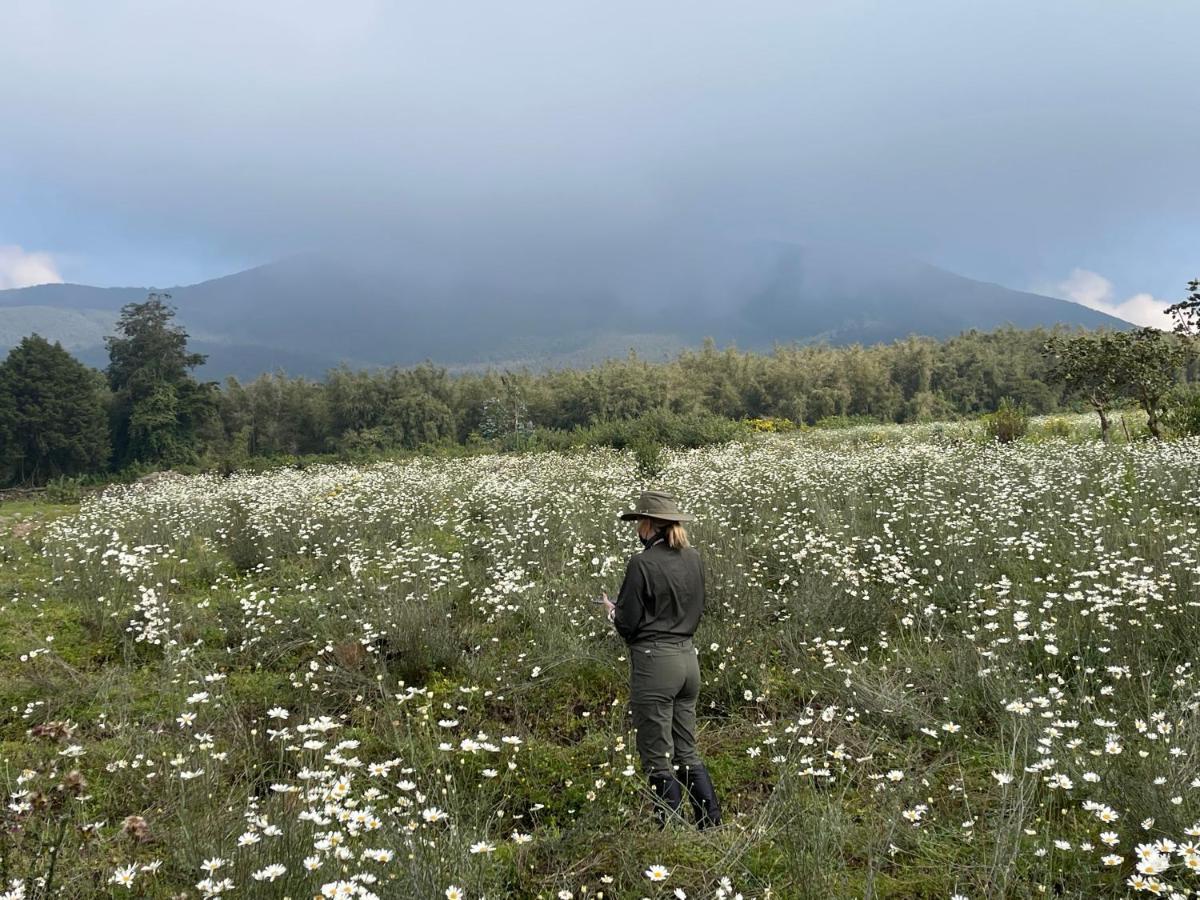 Virunga Homes Ruhengeri Eksteriør bilde