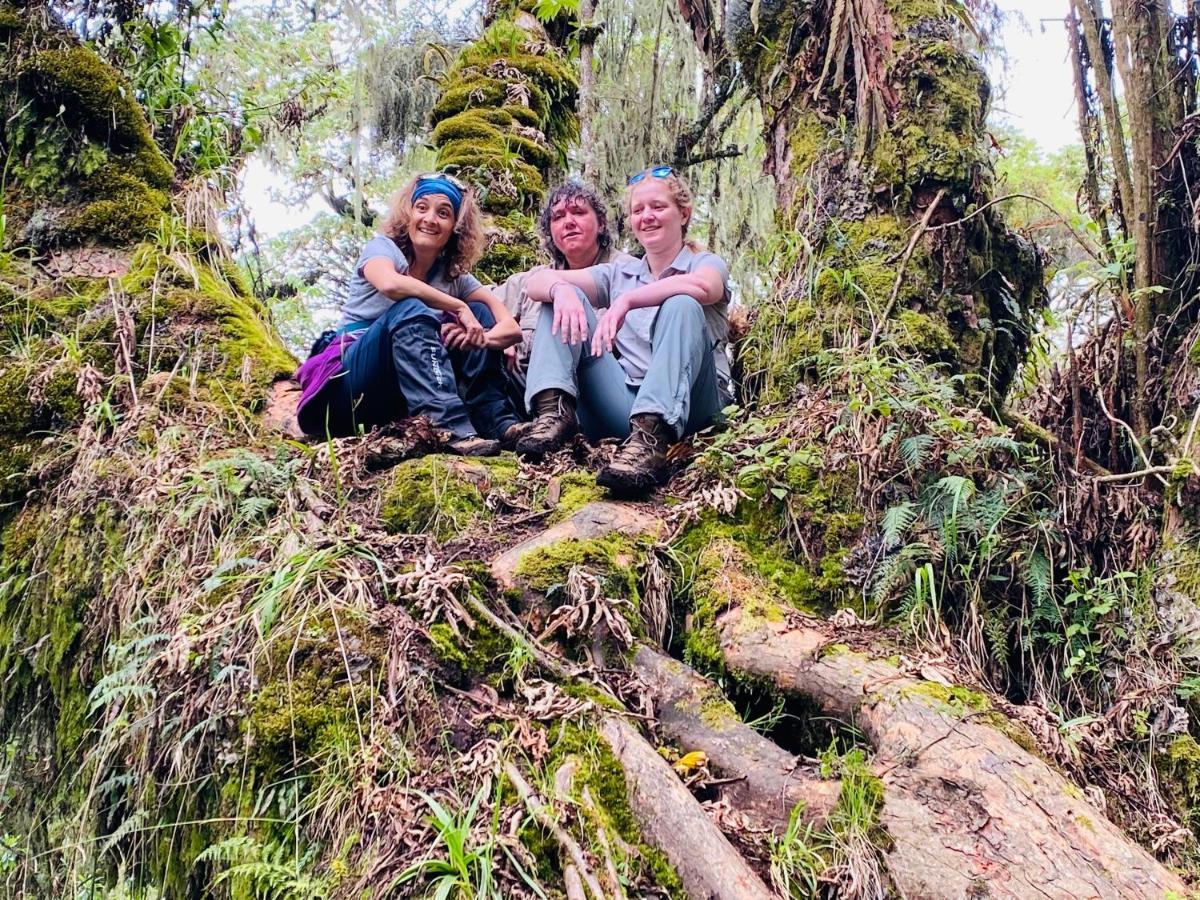 Virunga Homes Ruhengeri Eksteriør bilde